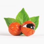 Guarana extract