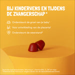 Zwangerschap Bundel