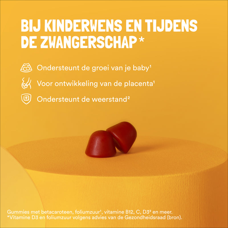 Zwangerschap Bundel