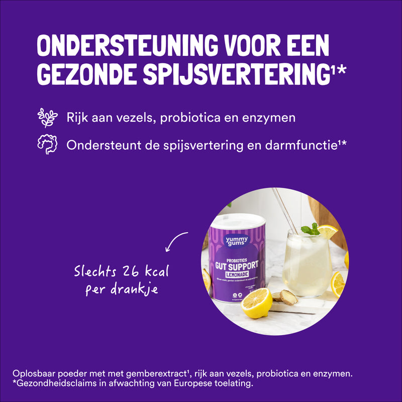 Gut Support Lemonade