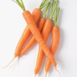 Vitamin A (RE)